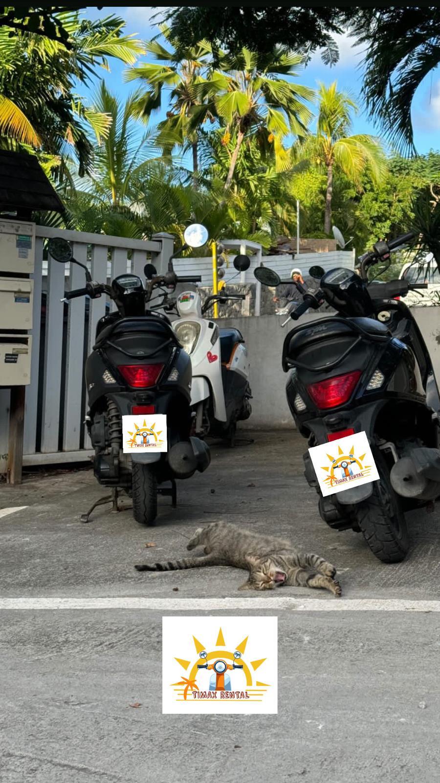 Timax vous accompagne : balade sur les routes de Saint-Barth